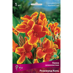 ������ ������ ����� ������������� �������� ����   ����