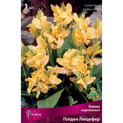 ������ ������ ����� ���������� ������ �������   ����