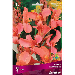 ������ ������ ����� ���������� �������   ����