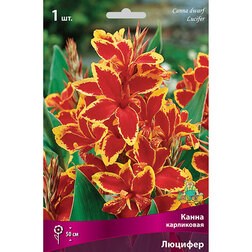 ������ ������ ����� ���������� �������   ����