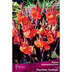 ������ ������ ����� ���������������� ��� ���� �������   ����