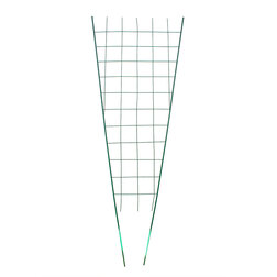 ������ ������ ������� �������   ����