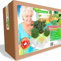 ������ ������ ������������� 4�-��������� ��������� ���� �4�   ����