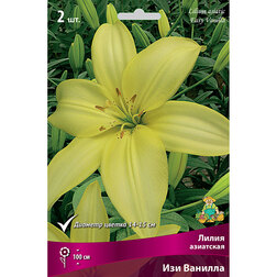 ������ ������ ����� ��������� ��� ������ (2 ��.)   ����