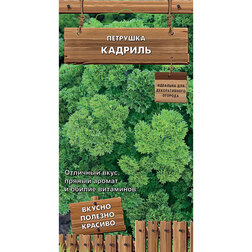 ������ ������ �������� �������   ����