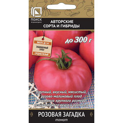 ������ ������ ����� ������� �������   ����