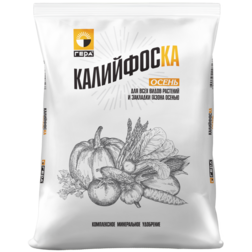 ������ ������ ����� ���������� 1�� ����   ����