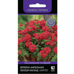 ������ ������ ������� ��������� ������ ������ ������� (������ �����)   ����