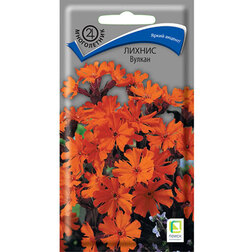 ������ ������ ������ ������   ����