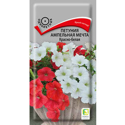 ������ ������ ������� ��������� ����� ������-�����   ����