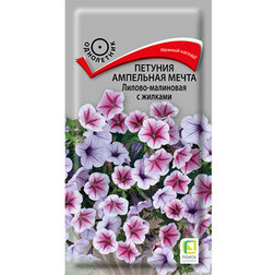 ������ ������ ������� ��������� ����� ������-��������� � �������   ����