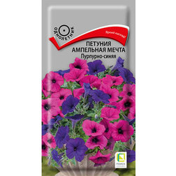 ������ ������ ������� ��������� ����� ��������-�����   ����