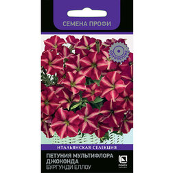 ������ ������ ������� ����������� �������� �������� ����� (������ �����)   ����