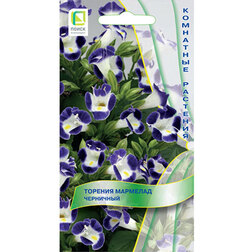 ������ ������ ������� �������� ���������   ����