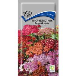 ������ ������ ������������� ������� �����   ����