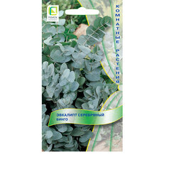 ������ ������ �������� ���������� �����   ����