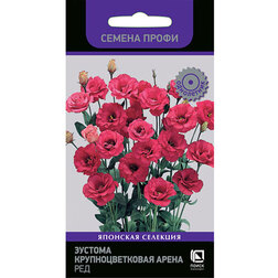 ������ ������ ������� ��������������� ����� ��� (������ �����)   ����