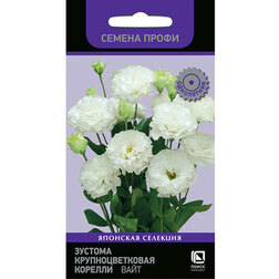 ������ ������ ������� ��������������� ������� ���� (������ �����)   ����