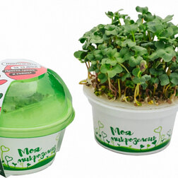 ������ ������ ����� ��� ����������� 