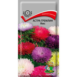 ������ ������ ����� ������� ����   ����