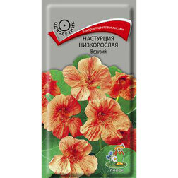 ������ ������ ��������� ����������� �������   ����