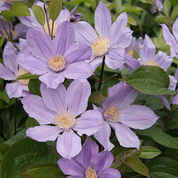 ������ ������ �������� ������������ ���� ����   ����