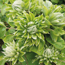 ������ ������ �������� ��������������� ���� ����   ����