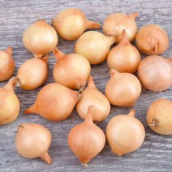 ������ ������ ���-����� ����������� ����� (��-0.5��)   ����