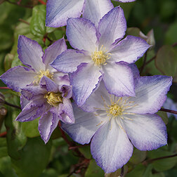 ������ ������ �������� ��������������� ���� ����   ����