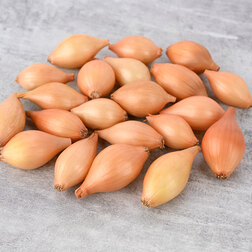 ������ ������ ���-����� ������ (��-1��)   ����