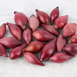 ������ ������ ���-����� ������ (1��-0,5��)   ����