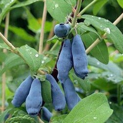 ������ ������ ��������� ��������� ��������   ����