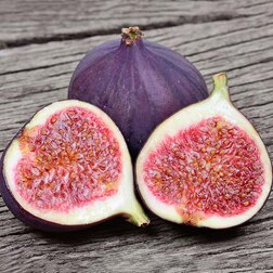 ������ ������ ����� ��� ������� (�����������)   ����