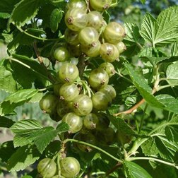 ������ ������ ��������� ������ ������� ��������   ����