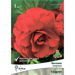 ������ ������ ������� �������� ������� (1 ��.)   ����