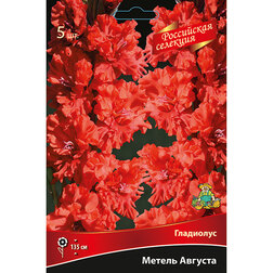 ������ ������ ��������� ������ ������� (5��)   ����