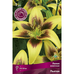 ������ ������ ����� ��������� ������ (1 ��.)   ����