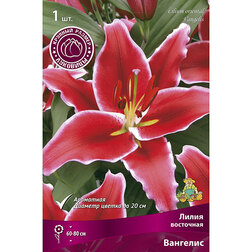 ������ ������ ����� ��������� �������� (1 ��.)   ����