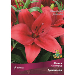 ������ ������ ����� ��-������ ��������� (1 ��.)   ����