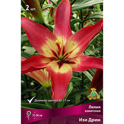 ������ ������ ����� ��������� ��� ���� (2 ��.)   ����