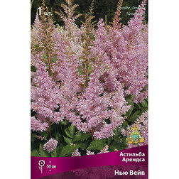 ������ ������ �������� ������� ��� ����   ����