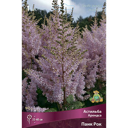 ������ ������ �������� ������� ���� ���   ����