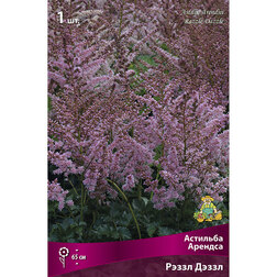 ������ ������ �������� ������� ����� �����   ����