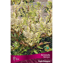 ������ ������ �������� ������� ���������   ����