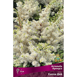 ������ ������ �������� ������� ����� ���   ����