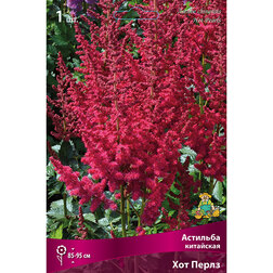 ������ ������ �������� ��������� ��� �����   ����