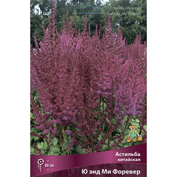 ������ ������ �������� ��������� � ��� �� �������   ����