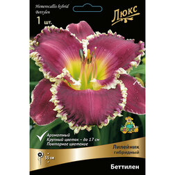 ������ ������ �������� ��������� ��������   ����