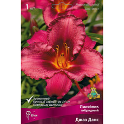 ������ ������ �������� ��������� ���� ����   ����