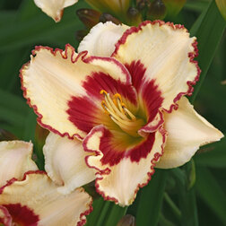 ������ ������ �������� ��������� ������� �������   ����